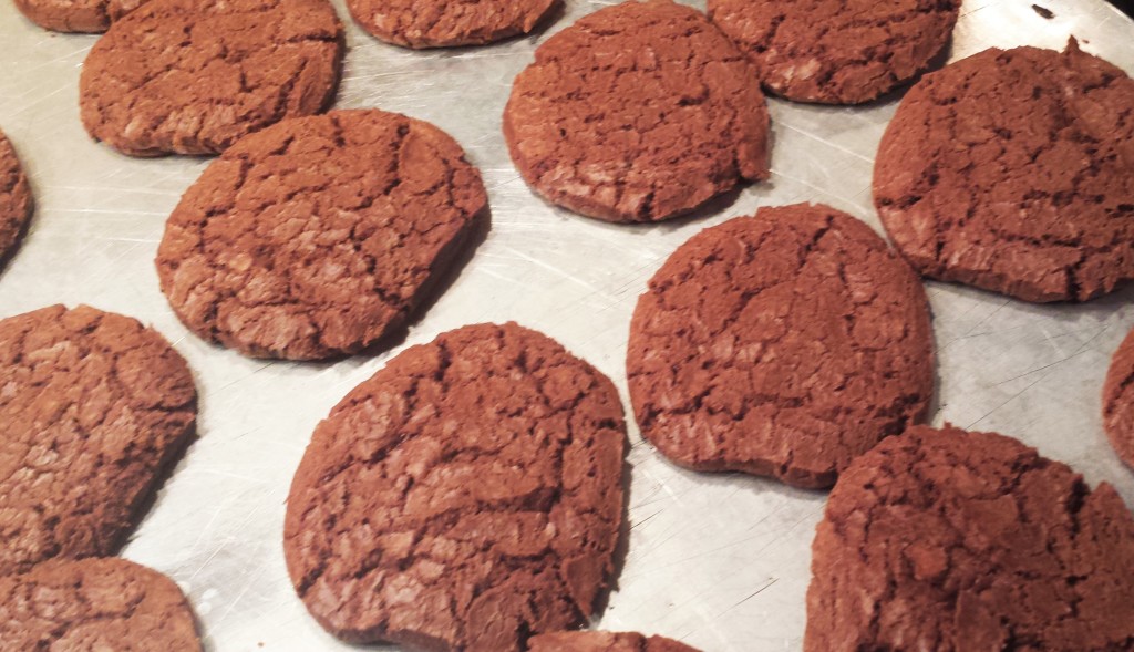 super fudgy chocolate cookies blog ready